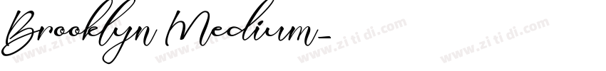 Brooklyn Medium字体转换 Brooklyn Medium字体转换